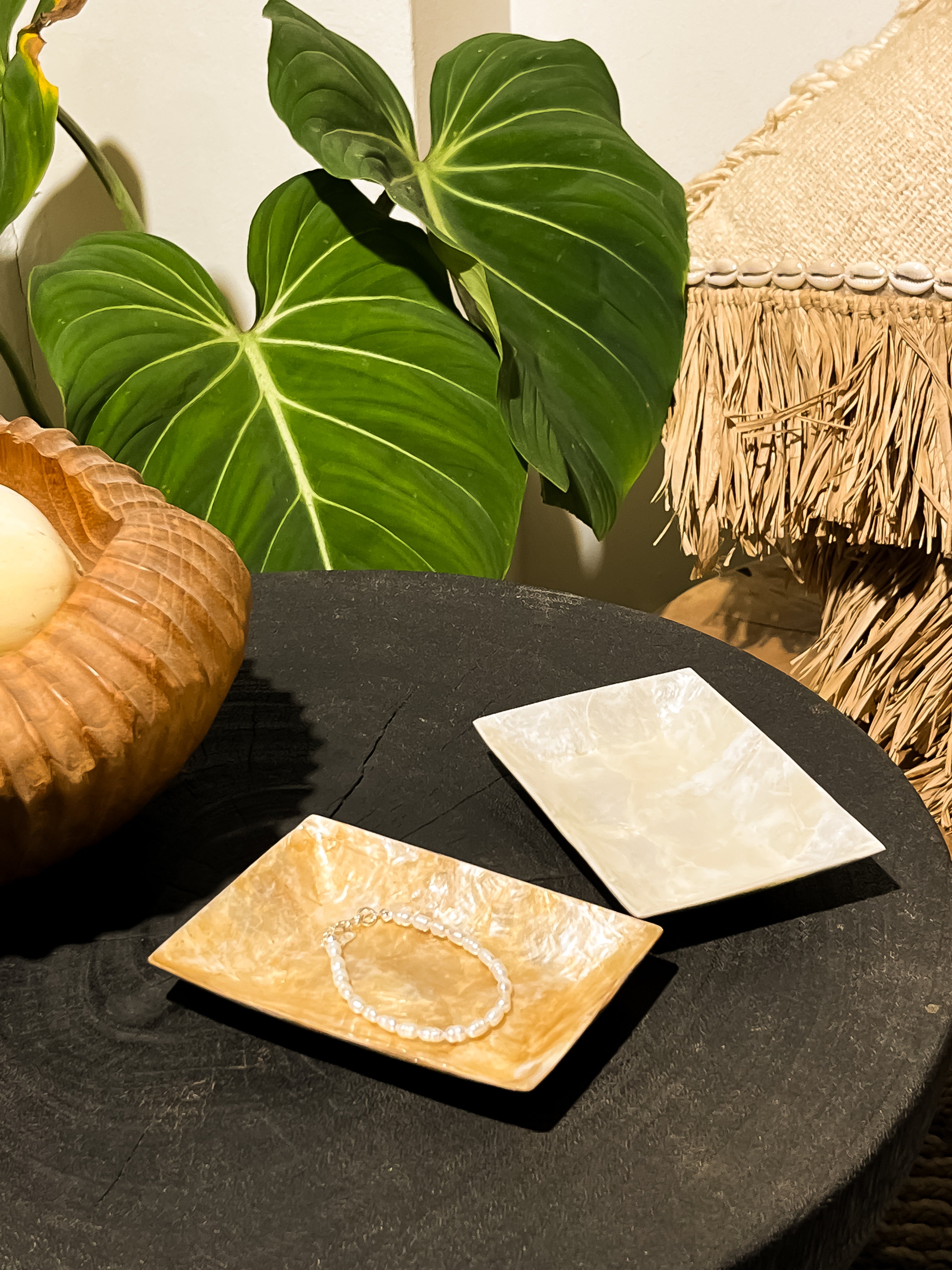 Rectangle Shells Jewelry Trays