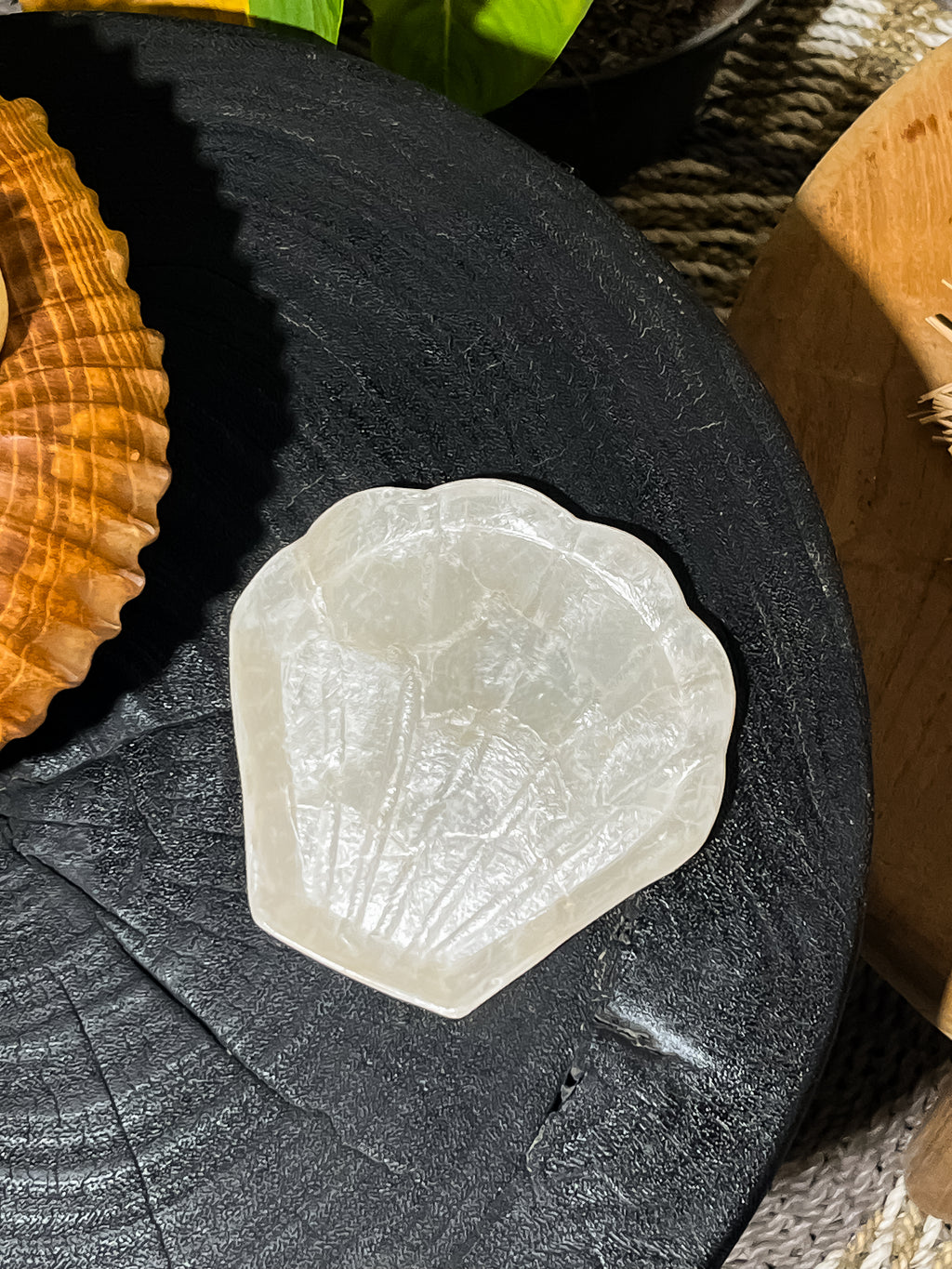 Small shells jewelry tray