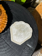 Small shells jewelry tray