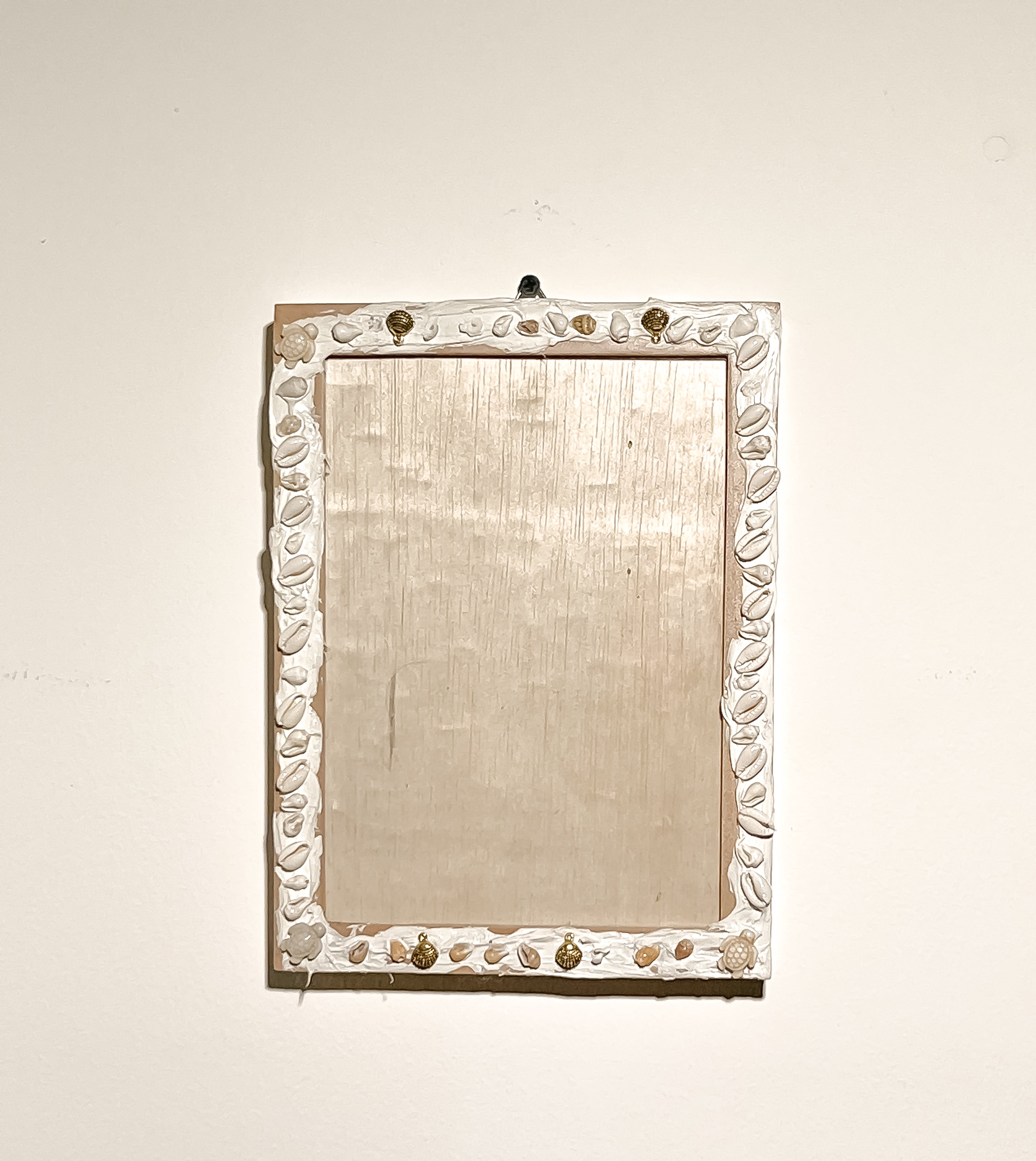 Shells Pictures Frame A5