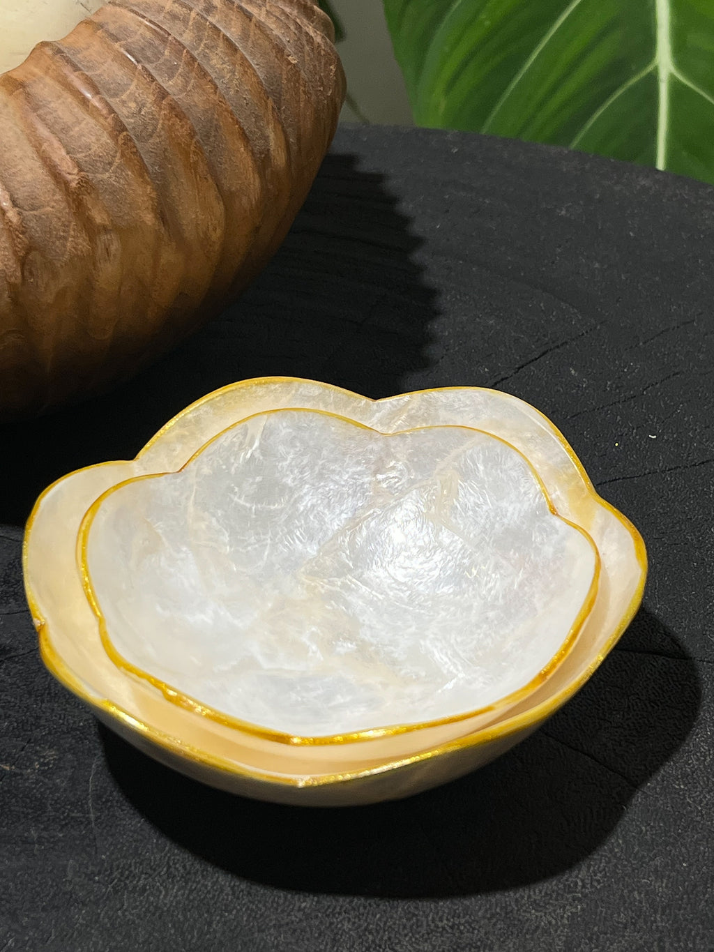 Flora Shells Decorative