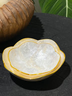 Flora Shells Decorative