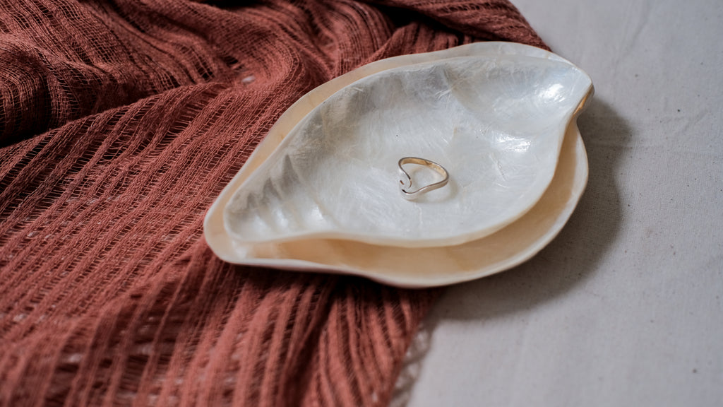 Conch Sea Shells Jewelry Trays