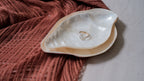Conch Sea Shells Jewelry Trays