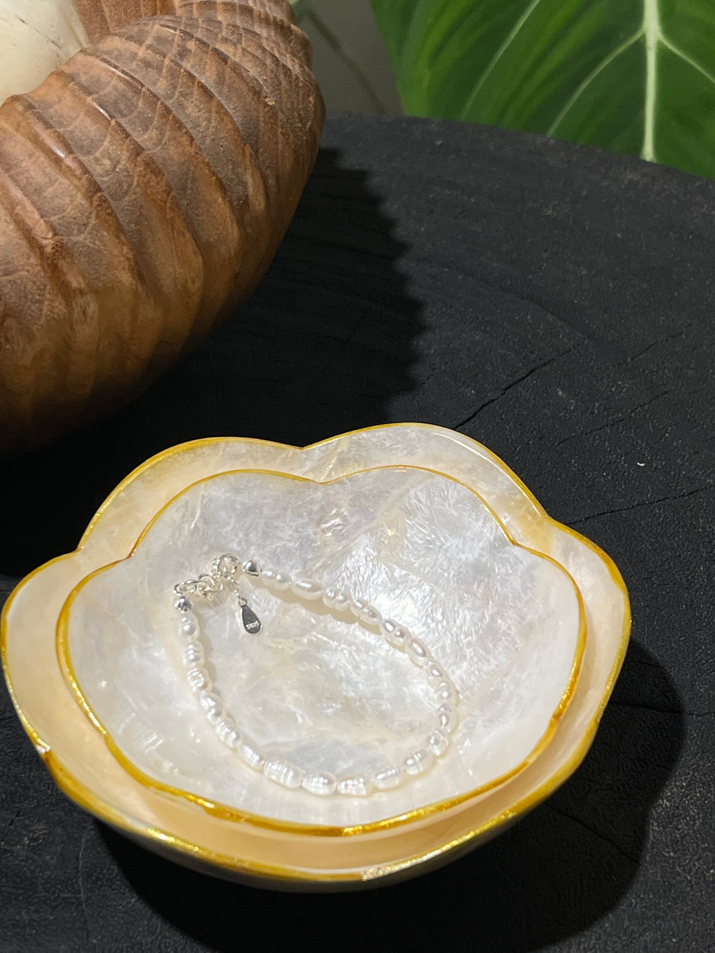Flora Shells Decorative