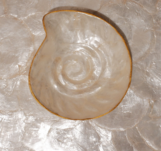Nautilus Shells Jewelry Tray