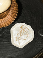 Small shells jewelry tray