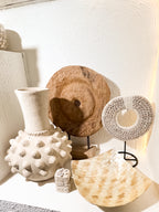 Square Decorative Shells Bowl