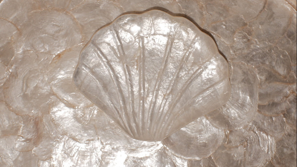 Angle Wing Shells Trays