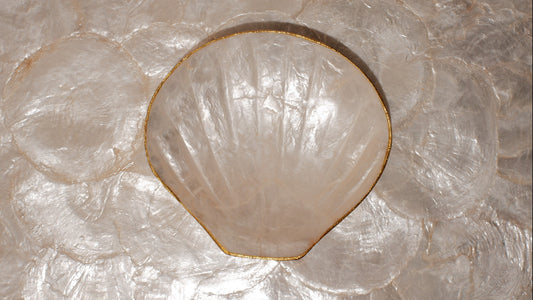 Mini shells tray