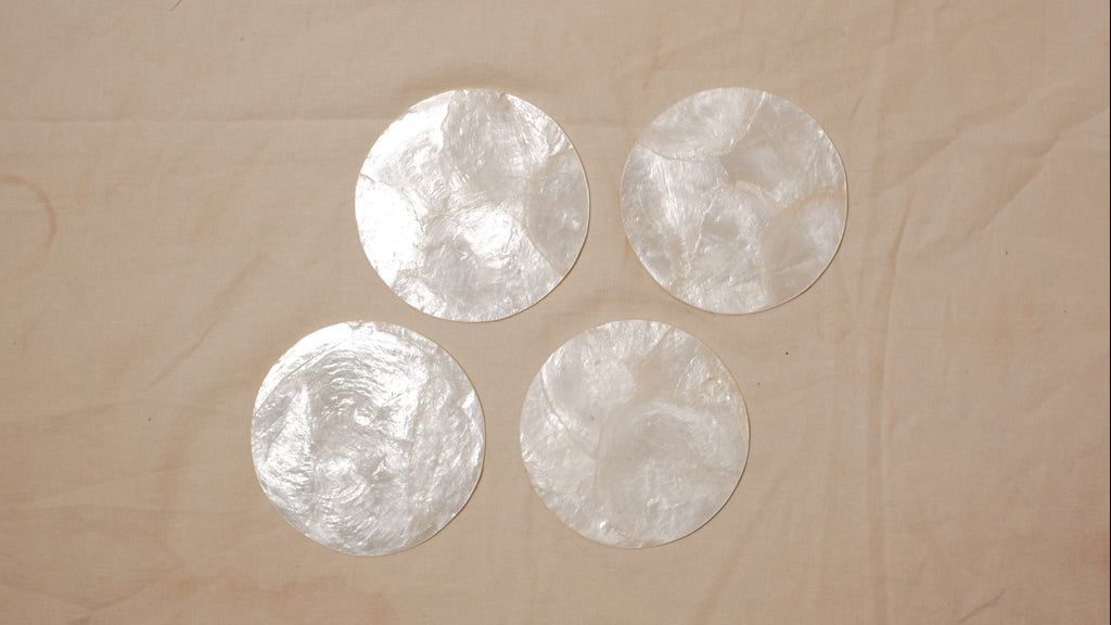 Shells coasters