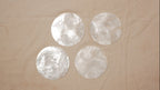 Shells coasters