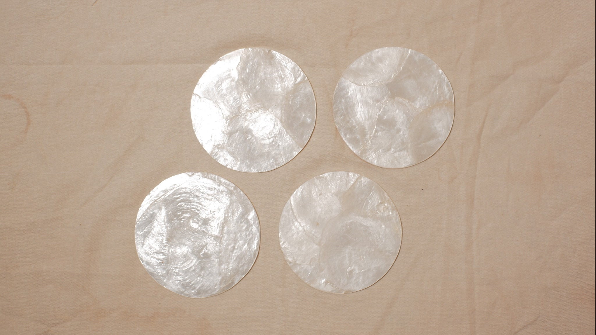 Shells coasters