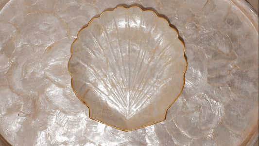 Medium shells tray