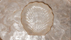 Medium shells tray