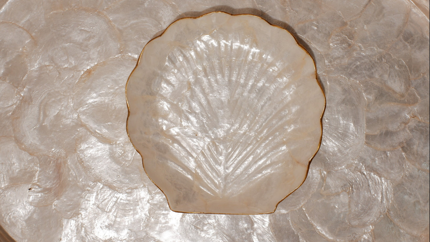 Medium shells tray