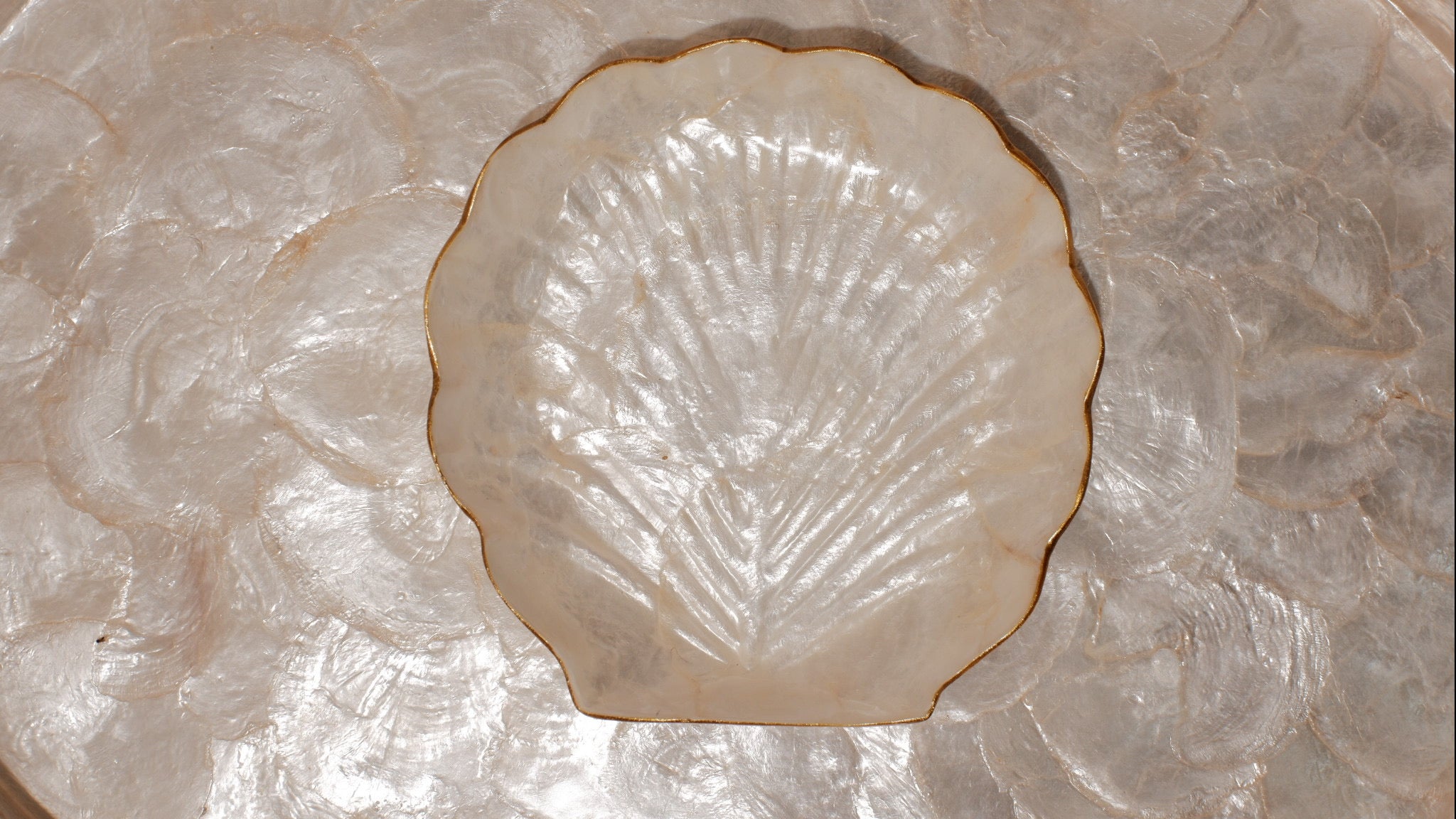 Medium shells tray