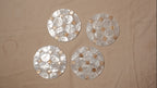 Shells coasters