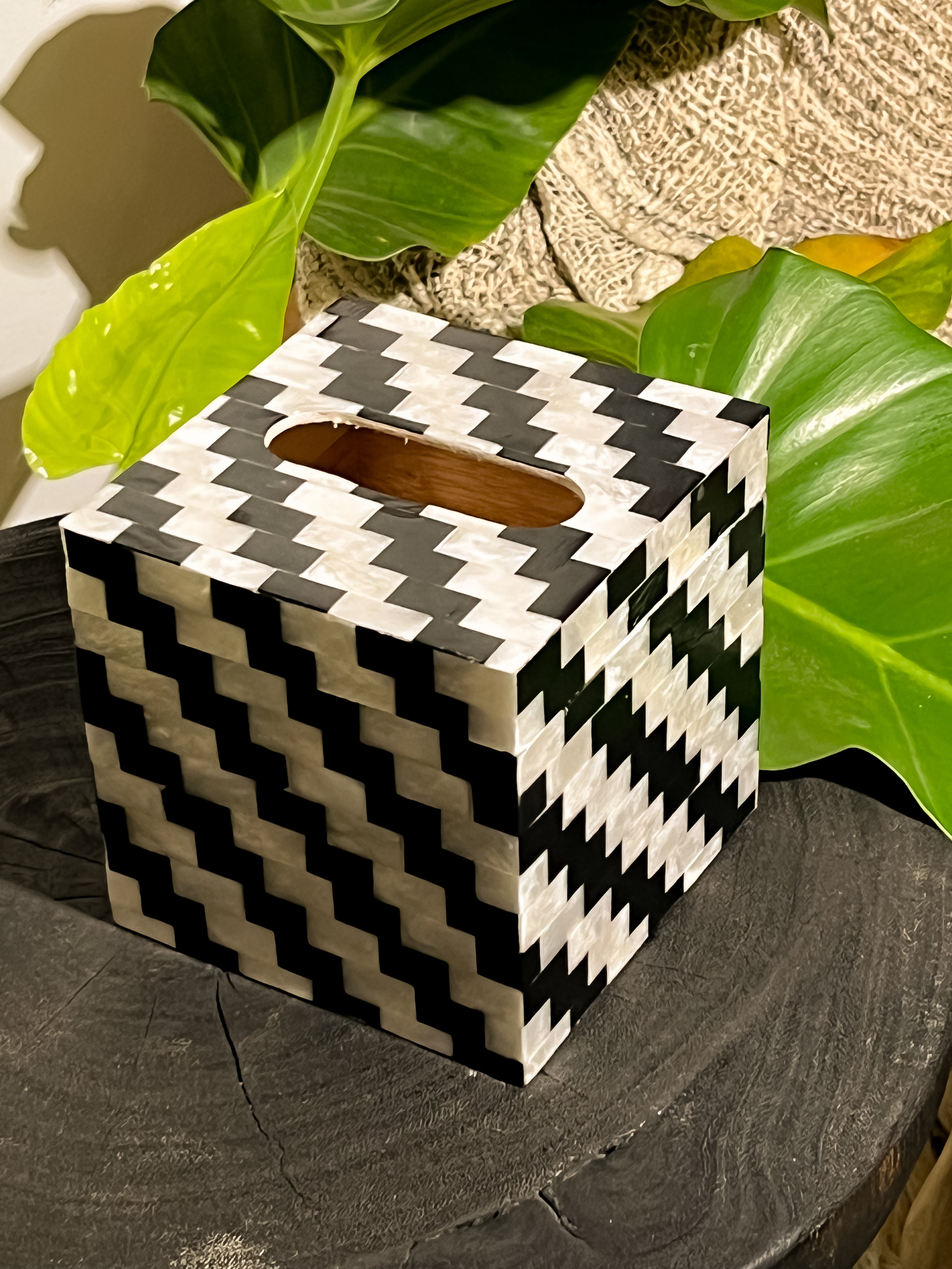 Shells Square Tissue Holder Monochrome