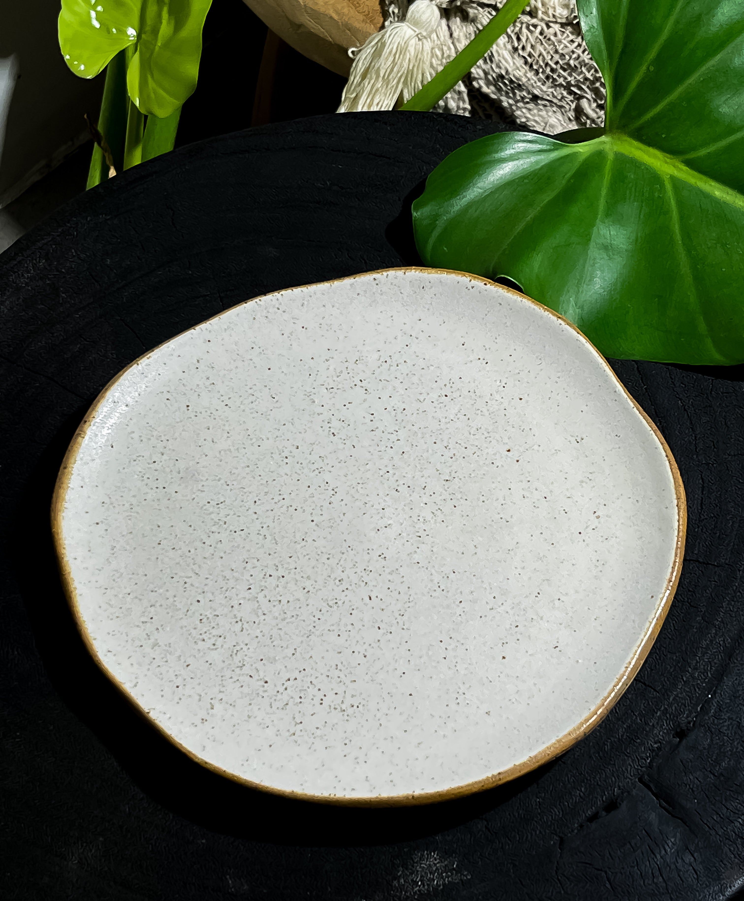 Ceramic Plate irregular