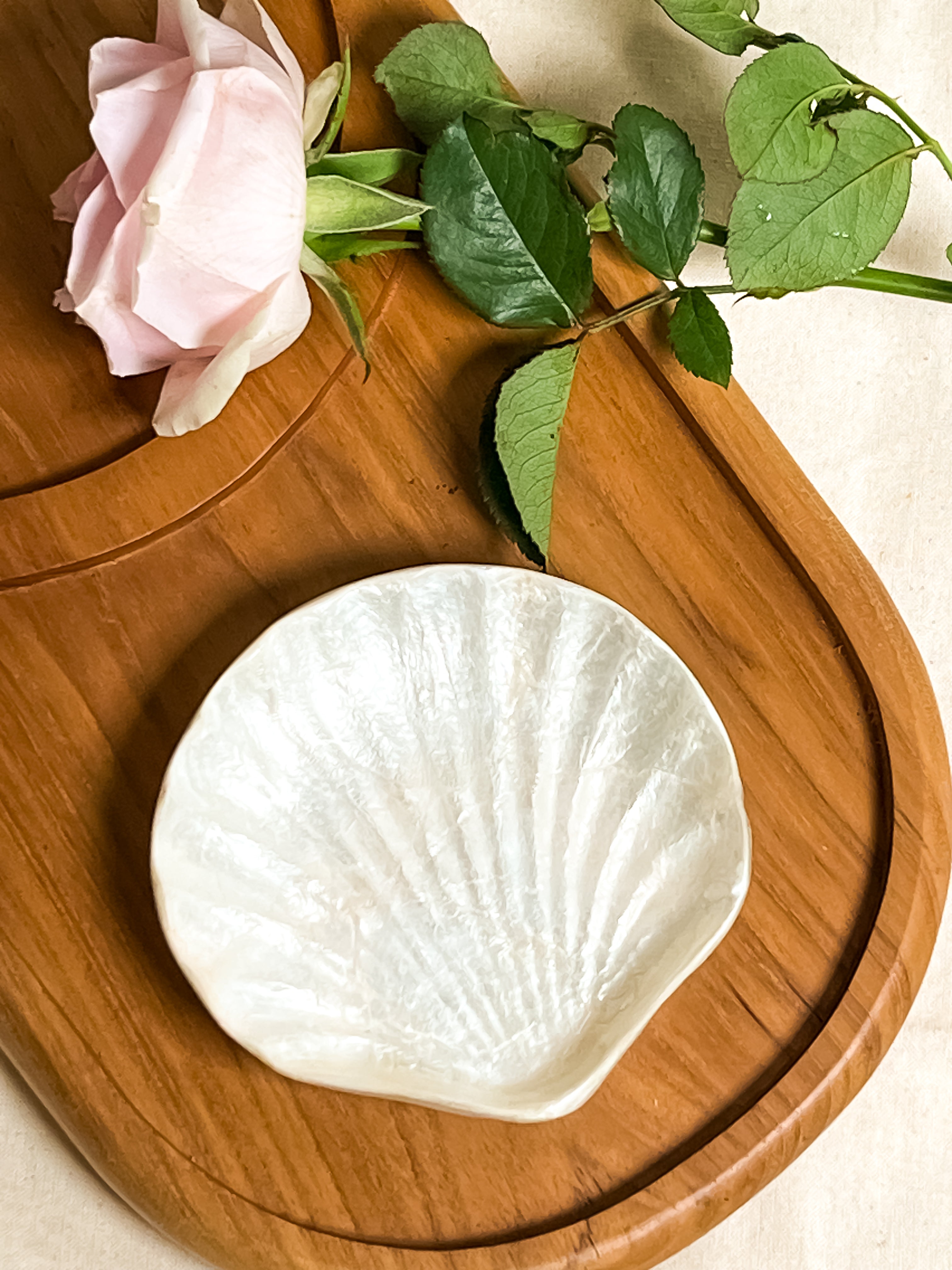 Venus Sea Shells Jewelry Tray