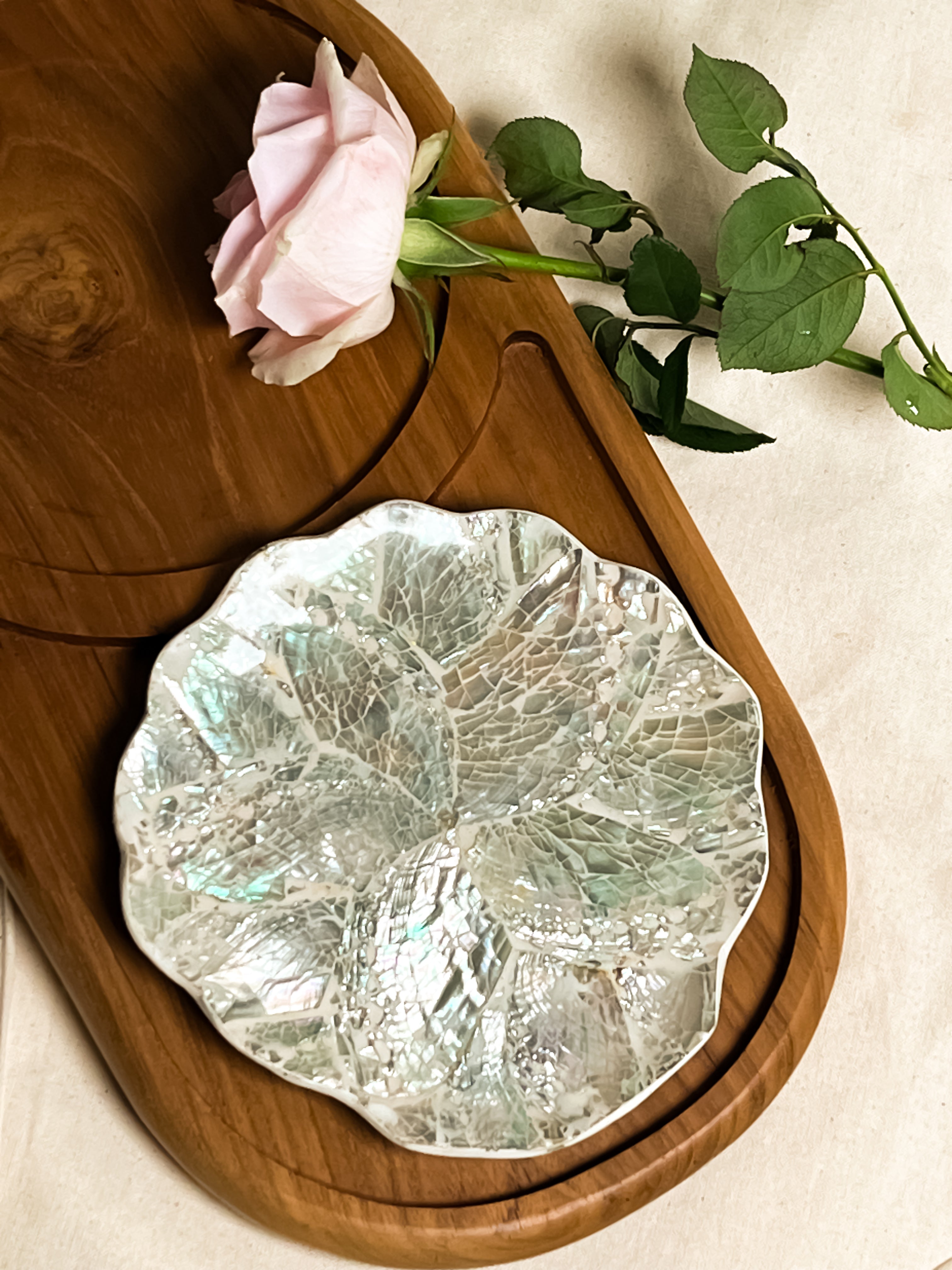 Calico Sea Shells Jewelry Tray