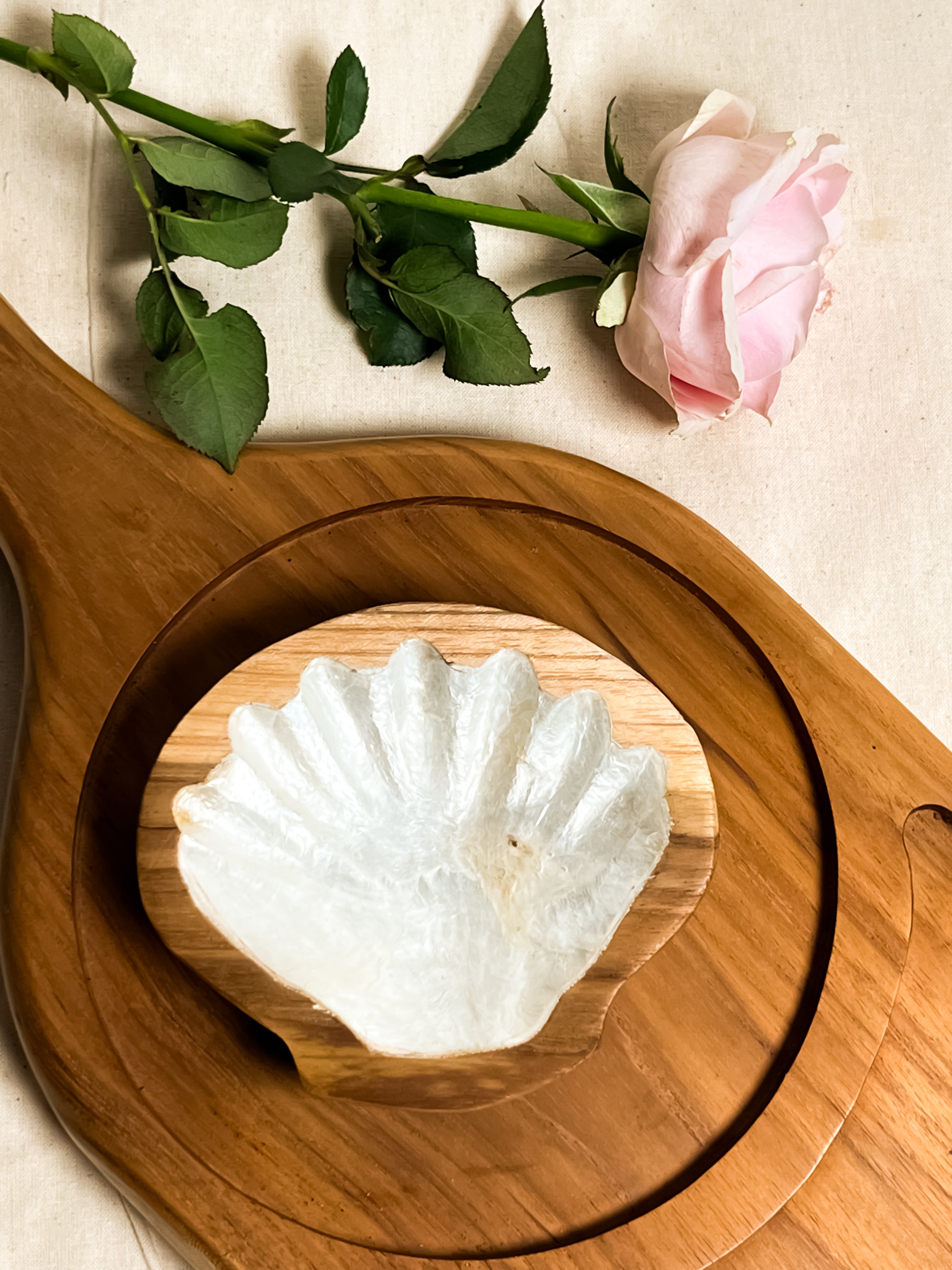 Lion’s Scallop Sea Shells Jewelry tray with teak wood
