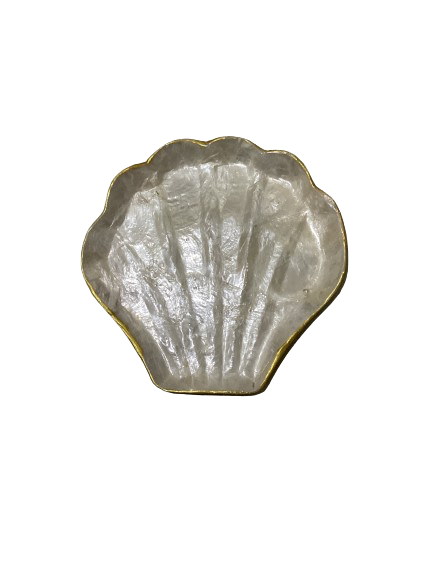 Small shells tray